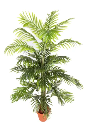 Artificial Areca Palm Plant Exotic - 5 feet (Dense Look)