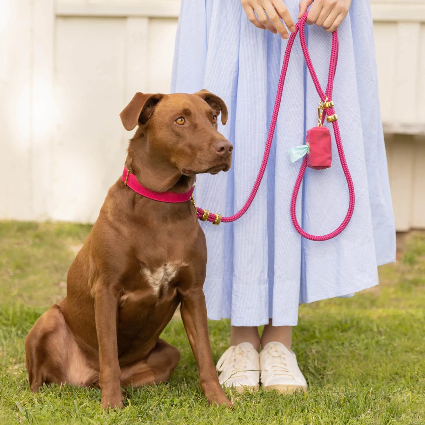 Hot Pink Waxed Canvas Waste Bag Dispenser