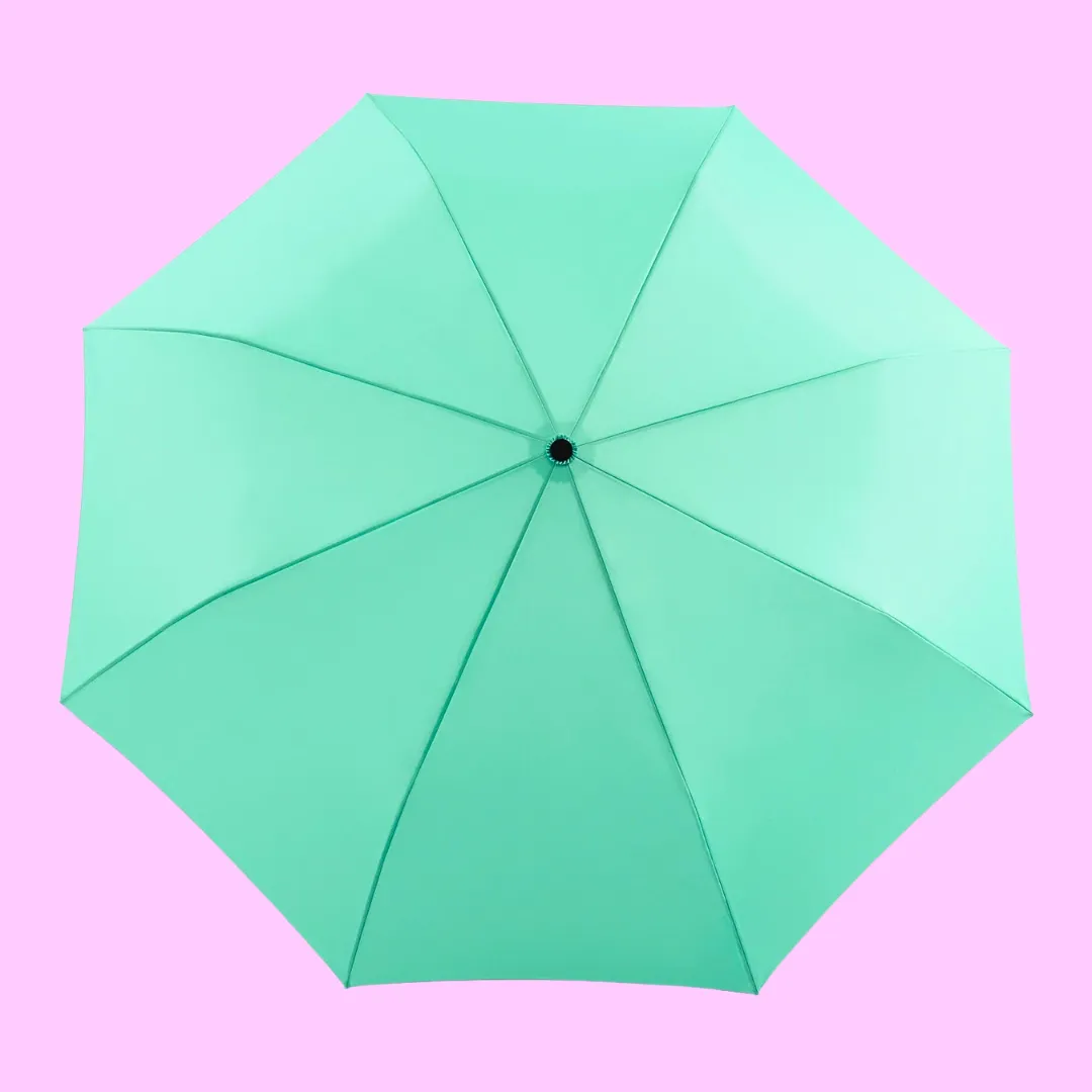 Mint Compact Umbrella