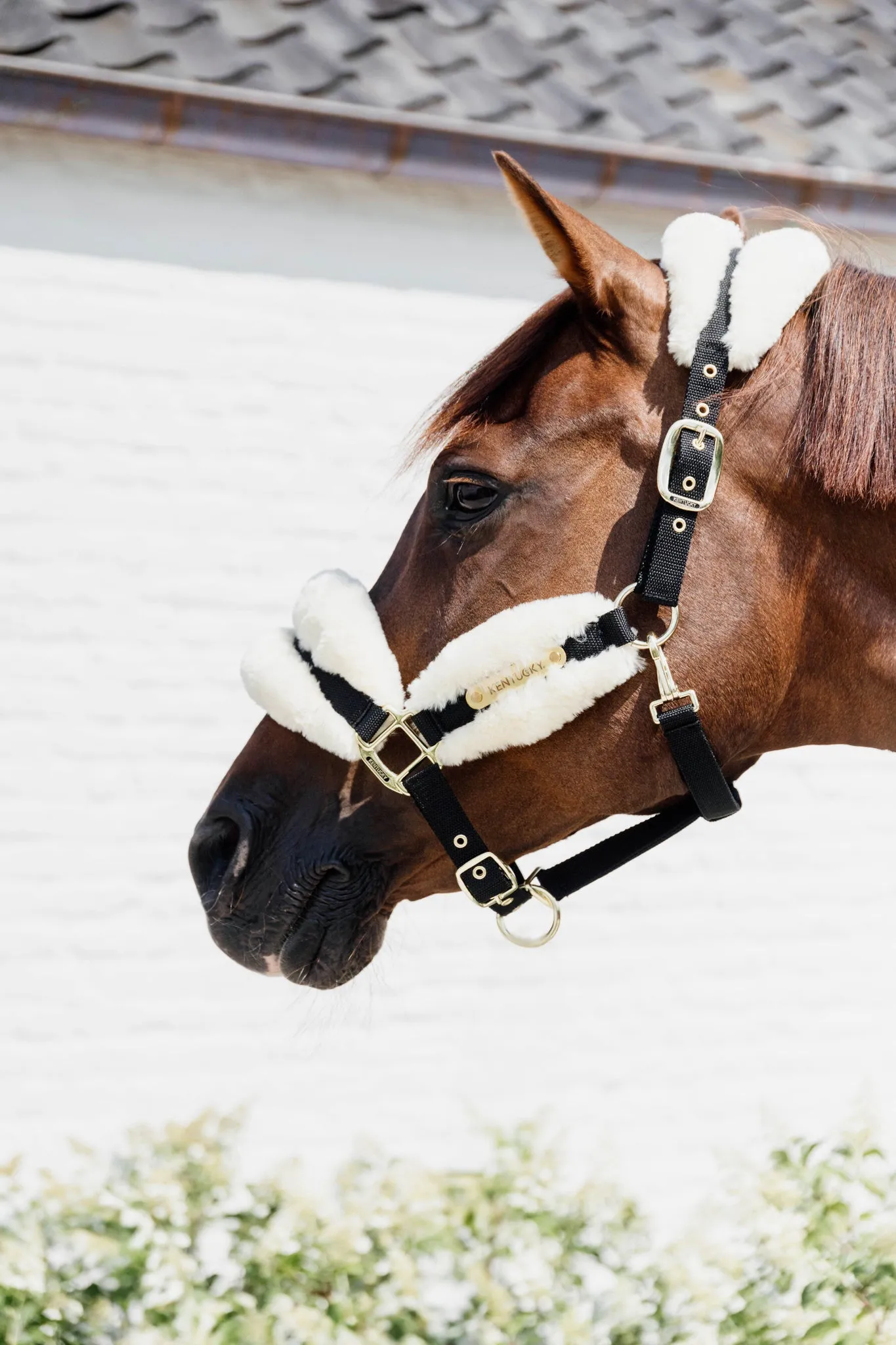 New Nylon Sheepskin Halter Soft