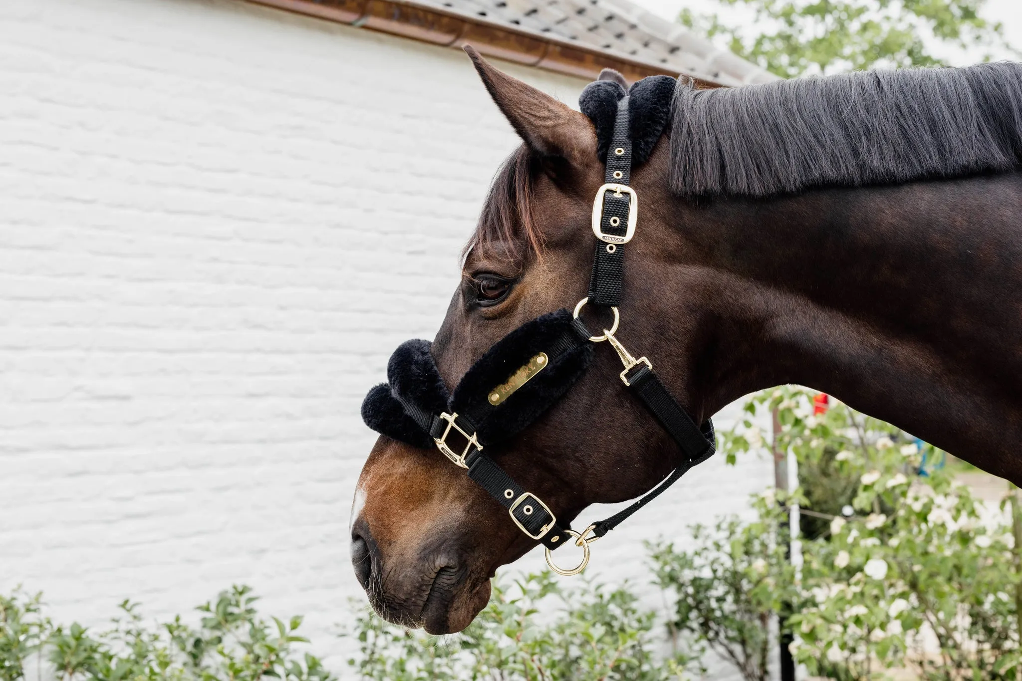 New Nylon Sheepskin Halter Soft