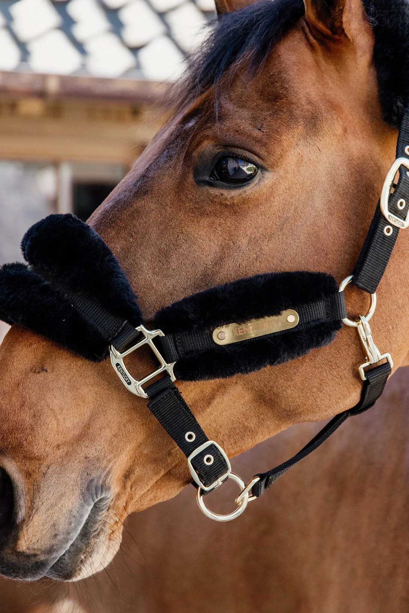 New Nylon Sheepskin Halter Soft