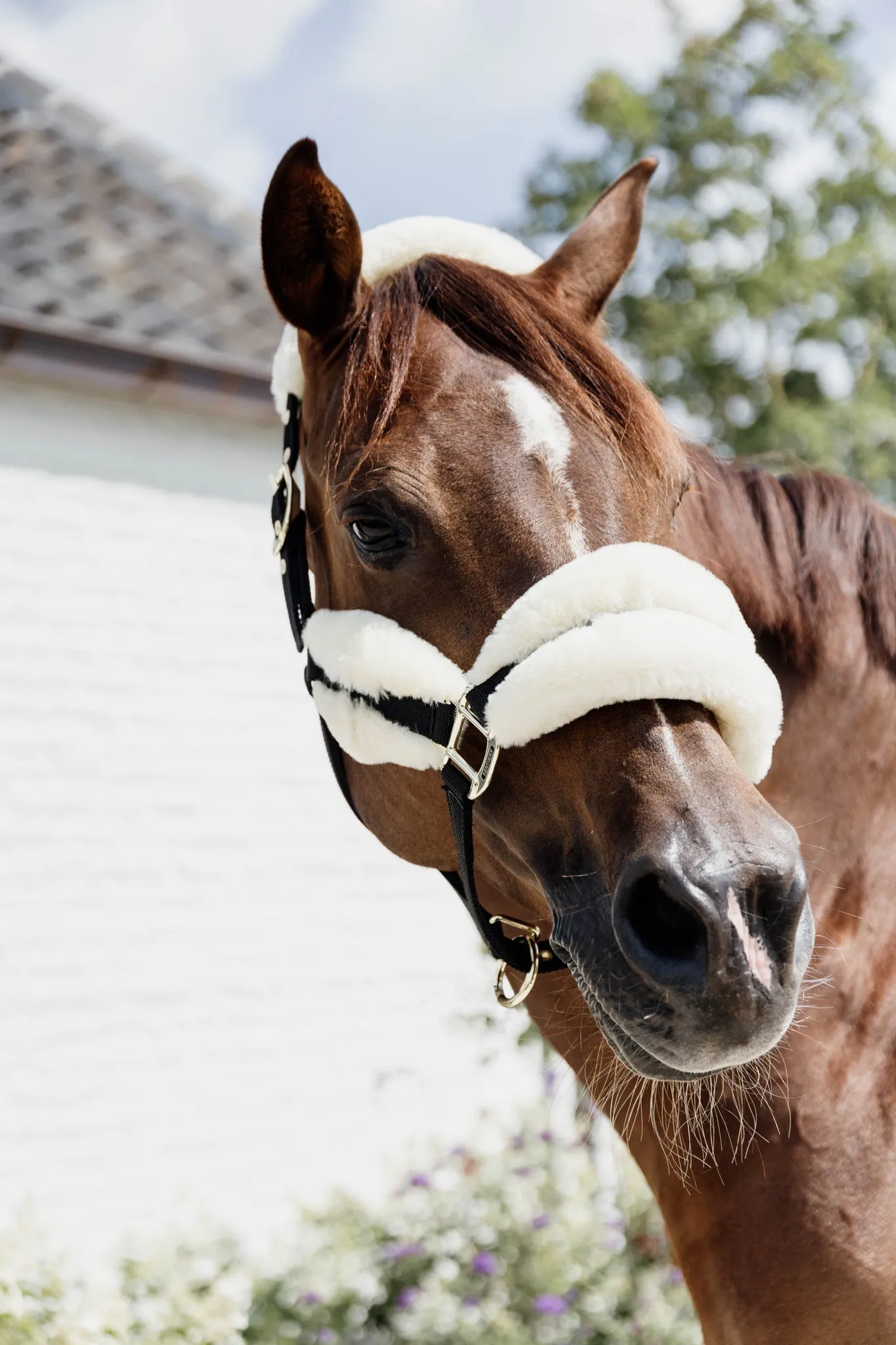 New Nylon Sheepskin Halter Soft